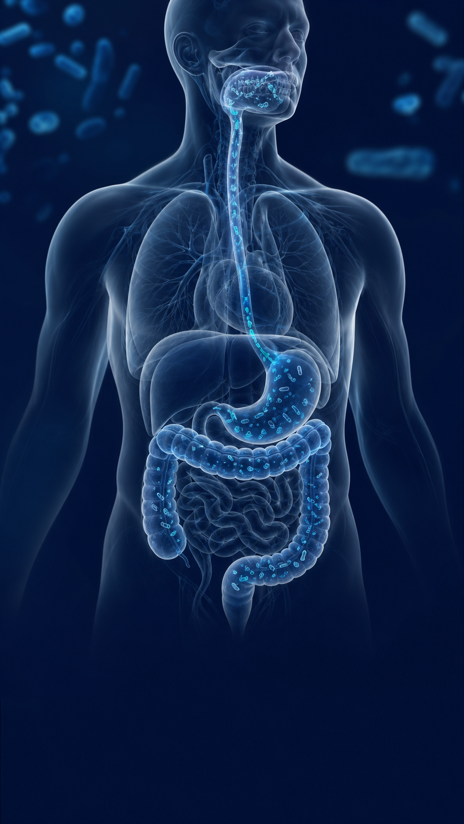 Bactérias da boca podem impactar o intestino